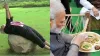 PM Modis fitness- India TV Hindi
