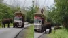 हाथियों ने ट्रक वाले पर लगया रोड चार्ज, वीडियो हुआ वायरल- India TV Hindi
