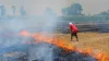 पंजाब में पराली जलाने के मामले- India TV Hindi