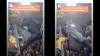 ट्रेन में जुगाडु़ सीट पर बैठते ही गिर गया बंदा- India TV Hindi