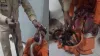 Snake smuggling in Vrindavan- India TV Hindi