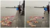 Anand Mahindra Tweet on Viral Video people throw garbage in arabian sea near gateway of india in mum- India TV Hindi