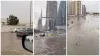Rainfall in Dubai heavy rainfall in dubai google trending viral videos of flood - India TV Hindi
