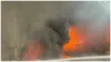 mumbai fire outbreak in 24th floor apartment 135 people rescued by fire brigade- India TV Hindi