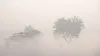 fog, weather- India TV Hindi