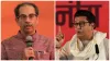 Raj Thackeray targeted Uddhav Thackeray ON Dharavi project said Was settlement not possible WITH GAU- India TV Hindi