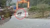सड़क पर निकल आया बाघ।- India TV Hindi