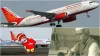 एयर इंडिया- India TV Paisa