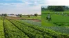 Farmers Income - India TV Hindi