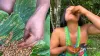 जिंदा कीड़ों को खा गई लड़की।- India TV Hindi