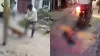 कुत्ते की पिटाई का वीडियो वायरल - India TV Hindi