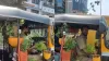 शख्स ने अपने ऑटो में लगाए अलग-अलग पौधे- India TV Hindi