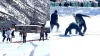 बर्फ में क्रिकेट खेलते हुए लड़के- India TV Hindi