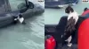 पानी में फंसी बिल्ली को दुबई पुलिस ने बचाया- India TV Hindi