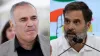 PM Elections 2024, Garry Kasparov, Garry Kasparov Rahul Gandhi- India TV Hindi