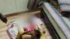 इंदौर में युवक ने फांसी लगाकर की खुदकुशी - India TV Hindi