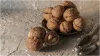Walnuts- India TV Hindi