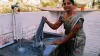 कपड़े धोती हुई महिला- India TV Hindi