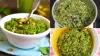 green chilli and garlic chutney recipe- India TV Hindi