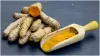 Raw Turmeric VS Turmeric Powder- India TV Hindi