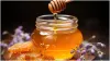 Honey face packs for glowing skin- India TV Hindi