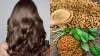  fenugreek benefits for hair - India TV Hindi