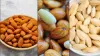 How To Eat Almonds In Winter- India TV Hindi