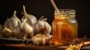 garlic dipped in honey benefits- India TV Hindi