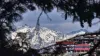 shimla snowfall- India TV Paisa