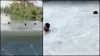 Drowning Video- India TV Hindi