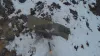 indian army video- India TV Hindi
