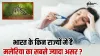 विश्व मलेरिया दिवस 2025- India TV Hindi
