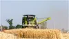 bsf given Order to villagers living on the border to harvest crops in 2 to 3 days is something big g- India TV Hindi