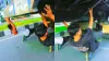 viral video, stunt, horrific video of stunt, viral news, trending video- India TV Hindi