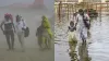 pryagraj and kerala- India TV Hindi