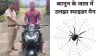 स्पाइडर मैन का कटा चालान- India TV Hindi