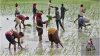 Farmers - India TV Paisa