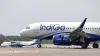 indigo, thales, airline companies, airbus a320, a32x, avionics, aviation- India TV Paisa