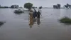 Pakistan Rain And Flood- India TV Hindi