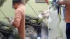 ajgar ka video, ajgar ka video viral, ajgar ka video Instagram, ajgar ka viral video, python attack - India TV Hindi