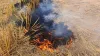 Stubble burning- India TV Hindi