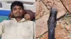 youth chewed the hood of snake- India TV Hindi