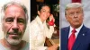 Jeffrey Epstein- India TV Hindi