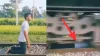 Train Stunt Viral Video- India TV Hindi
