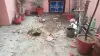 bijnor rss attack- India TV Hindi