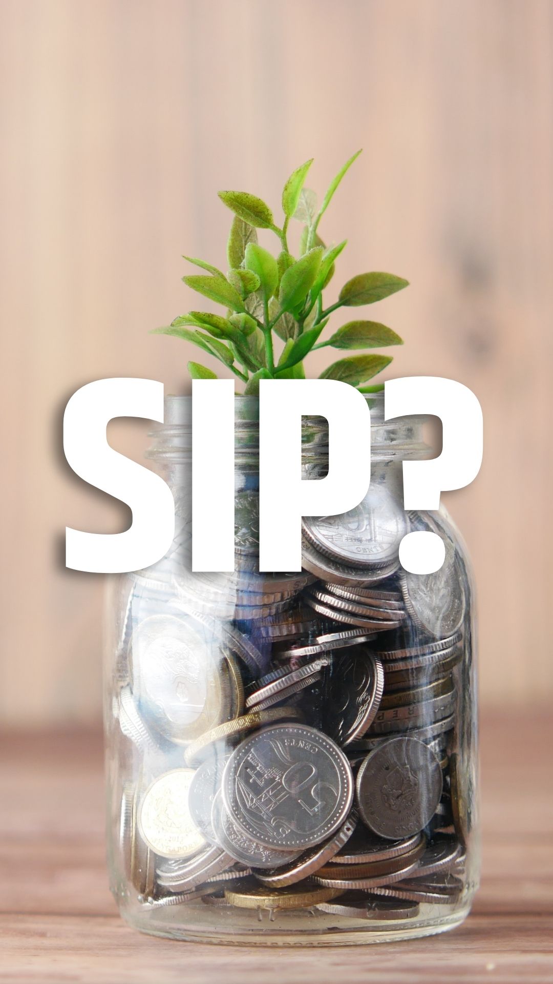 SIP में लार्ज कैप, मिड कैप और स्मॉल कैप क्या होता है, किसमें करें निवेश? 
