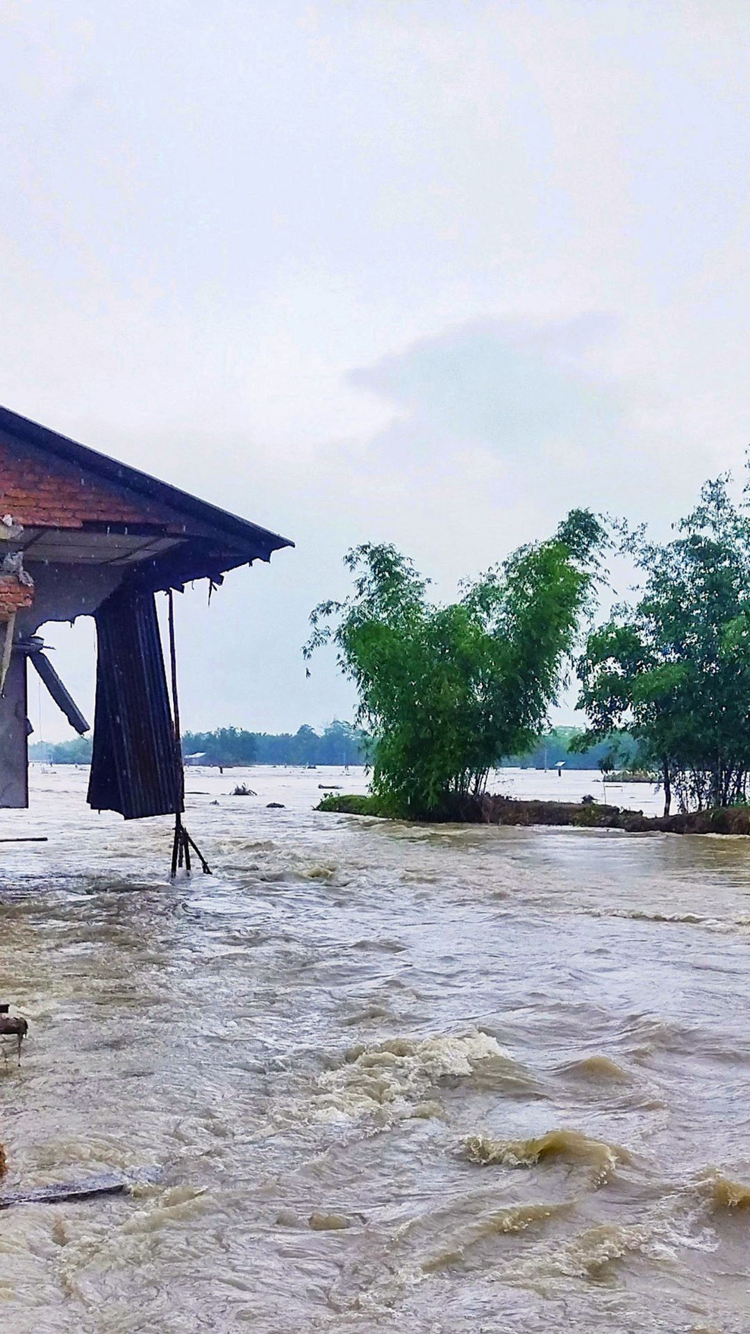 असम में बाढ़ से भारी तबाही, मचा हाहाकार 