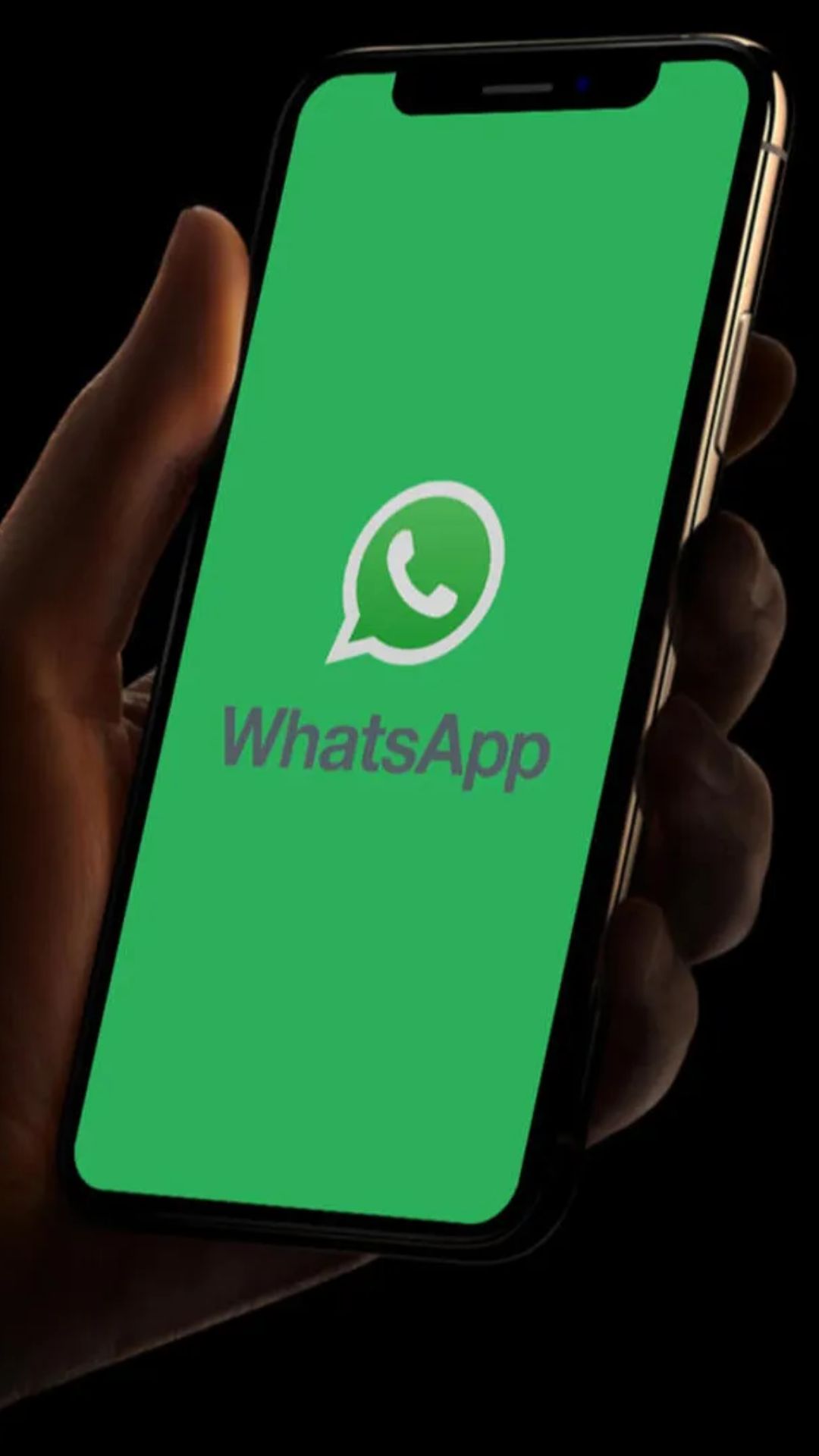 WhatsApp पर अब Voice Chatting का आया फीचर 