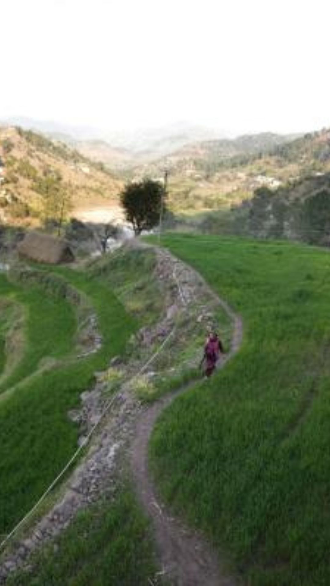 क्षेत्रफल की दृष्टि से भारत का विश्व में है कौन सा स्थान, रूस-चीन और अमेरिका हिंदुस्तान से कितने गुना बड़े हैं; यहां जानिये