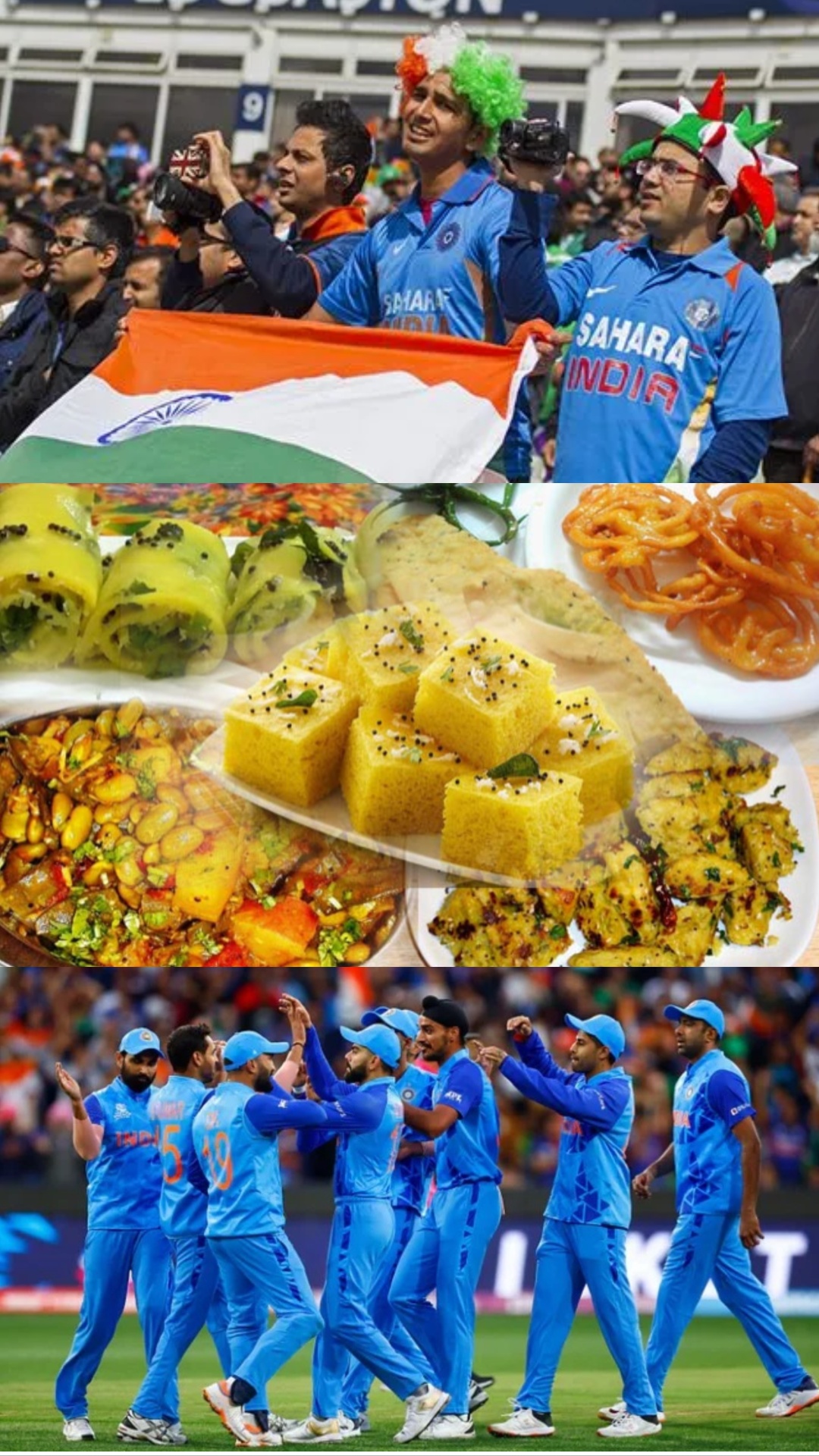 India vs Australia WC: इंडिया ऑस्ट्रेलिया का मैच देखने गए हैं अहमदाबाद, ज़रूर चखें ये गुजराती डिश
